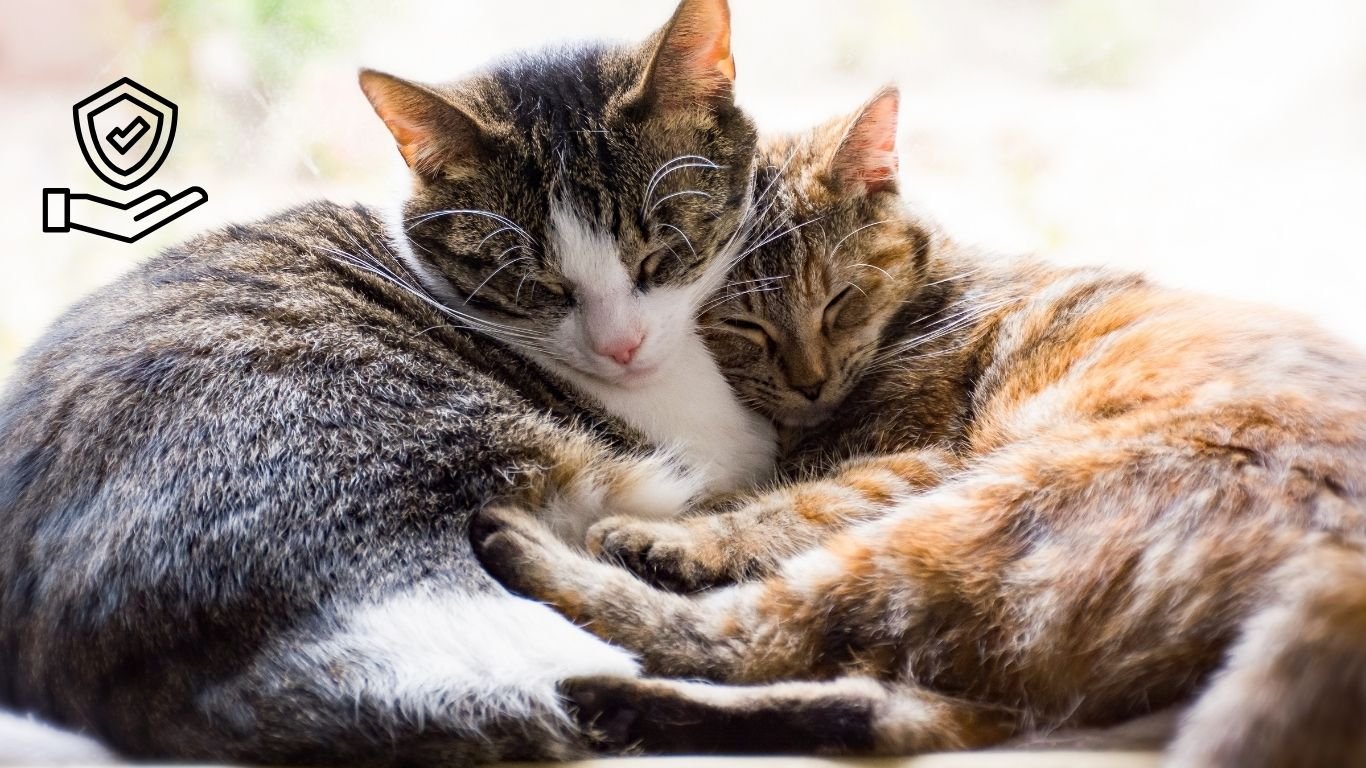 Two-Minute Task Method