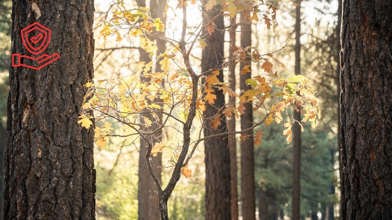 The 5-Minute Momentum Rule: How Small Starts Create Big Results