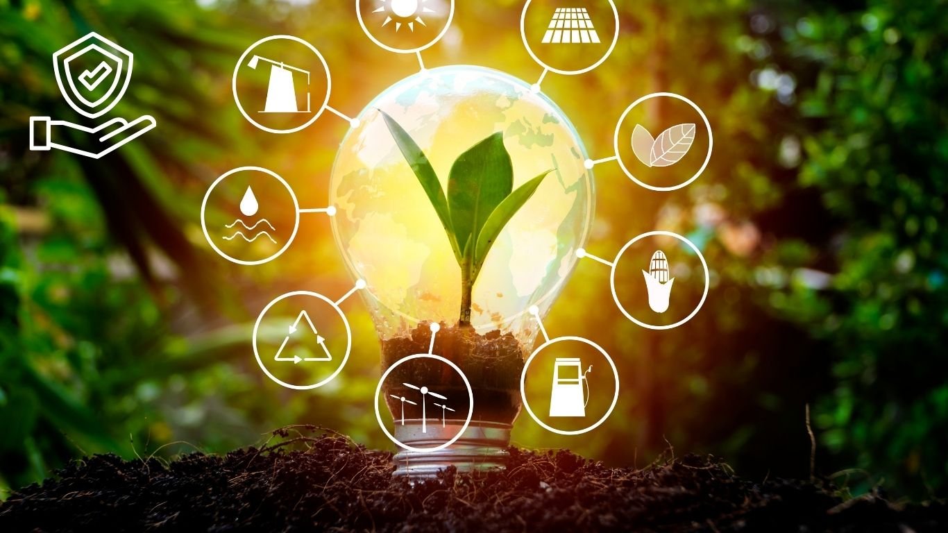 Micro Nutrition Goals for Daily Energy