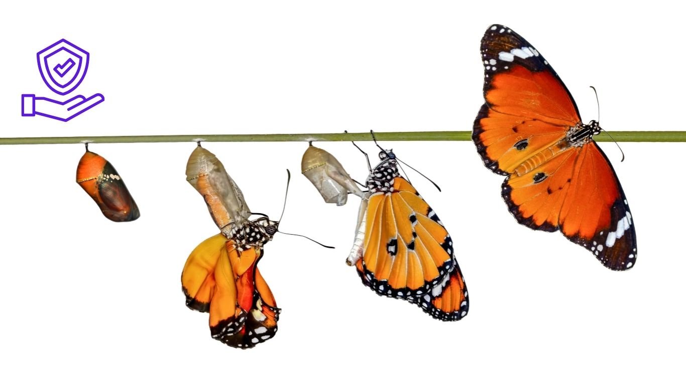 The 1% Life Transformation System: Small Wins, Massive Change