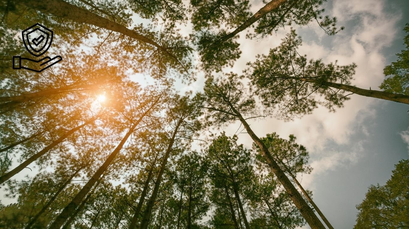 Energy Reset: A New You in 30 Days